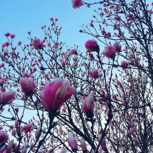 Meet your Posher, Gabrielle